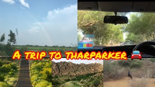 A trip to Tharparker|| Mai q thy itny din sy gayab|| #tharparkar #travelvlog #sindh