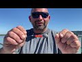 How to Catch Hogfish and what rig to use | Hubbard's Marina | www.HubbardsMarina.com