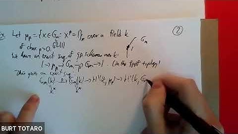 Burt Totaro, Cohomological invariants in positive characteristic
