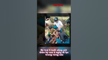 Bé trai 6 tuổi sống sót thần kỳ sau 4 ngày đi lạc trong rừng sâu