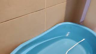 Explosive Diarrhea Sound Effect