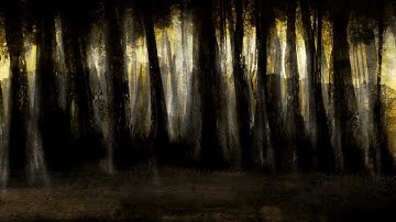 The Little Unsaid - Through the Fields (Official Video)