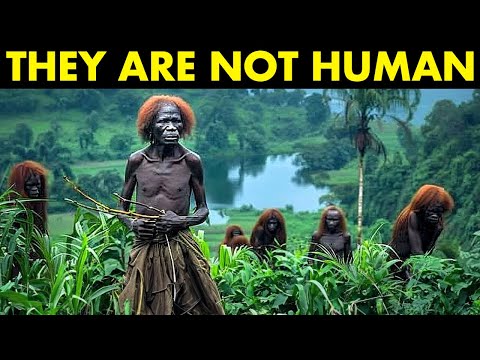 Horrifying Discovery in the Congo That Terrified the World