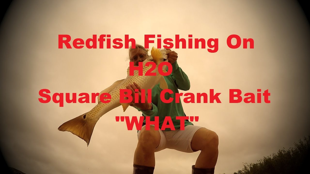 Bank Fishing: Redfish fishing Galveston, Texas (on square bill crank bait) "WHAT" - YouTube