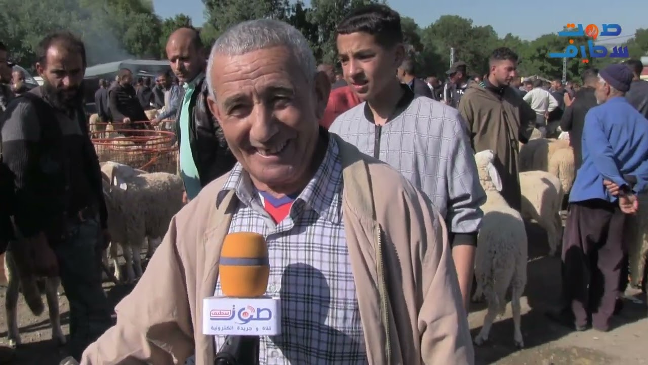 السوق حابس، الاسعار ملتهبة، وهذا يحصل في هذا، بسوق عين عباسة للمواشي