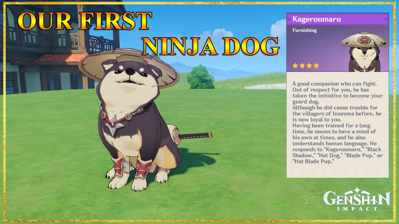 We finally get our own Ninja dog Genshin Impact YouTube