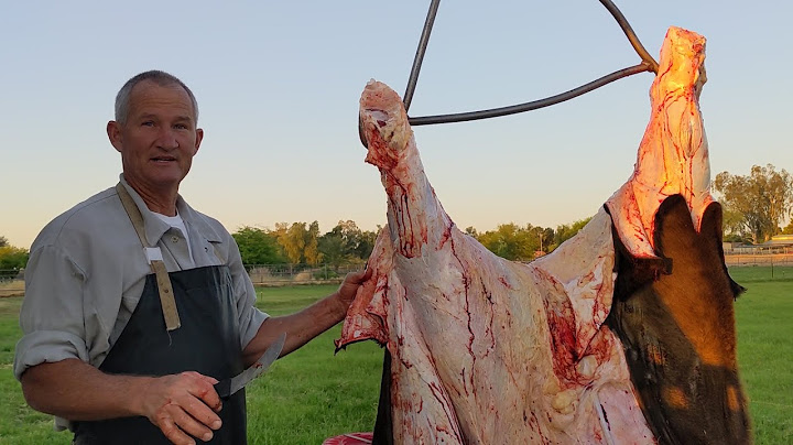 How to Harvest every part of Grass Fed Beef on the Farm!