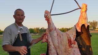 How To Harvest Every Part Of Gr Fed Beef On The Farm
