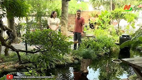 Không gian xanh: Tiếng suối chảy róc rách giữa lòng thành phố.