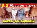 Bakra eid mubarik  l peshori vines official