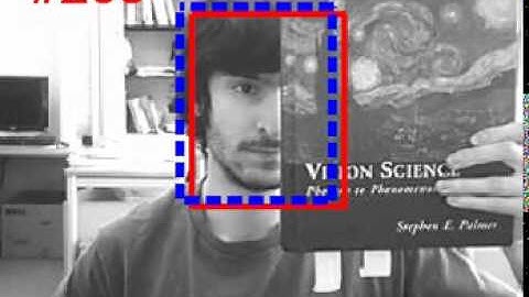 Correlation Filters with Limited Boundaries : Tracking