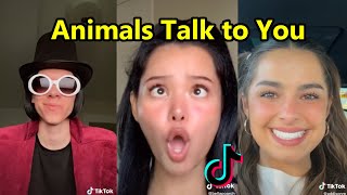Animals Talk to You, Kidnapped enslaved, She is a Princess | TikTok Compilation