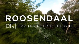 FPV Flight in Roosendaal | Drone video in 4K