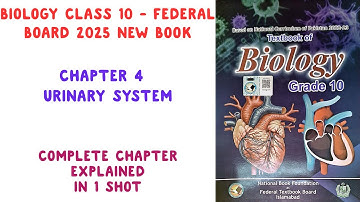 Biology Class 10 | Chapter 4 Complete Explanation | Federal Board 2025 | National Book Foundation