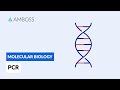 Amplifying DNA: The Science Behind Polymerase Chain Reaction