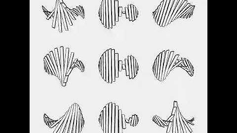 Circle wave. Draw by openFrameworks