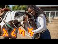 የገዛ ፈረሷ በዳት 🤤🤤| Beautiful Girl Feeding horse #ems #jela #kula #kinter #mebadat