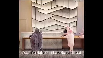 Labi labi dan babi (versi remix) Labi labi dan babi (versi remix)