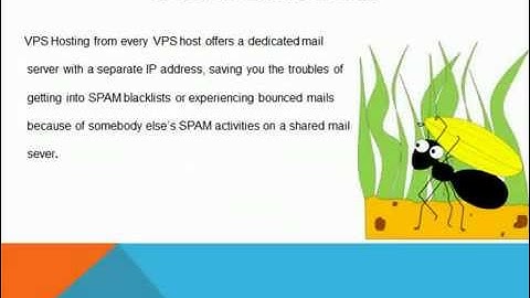 VPS Hosting India: Cheap VPS Hosting for your business!