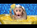 Monkey Baby Bon Bon bath in the toilet and Eats Ice Cream Gold with puppy at the pool