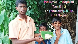 Palkova Recipe in Tamil | How to make Palkova in Tamil | 2 Ingredients Milk and Sugar