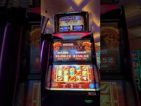 Ruleta De Shots Juego Mesa 16 Copas Juego De Fiesta Bebidas