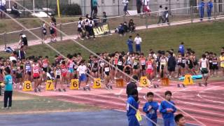 20151122 東大阪11月度記録会 中学共通男子 100m 14組 NKJMHRI