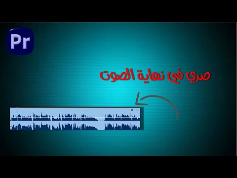 كيف تصنع صدى في الصوت بريمير برو
