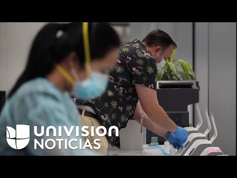 Video: United ofrecerá a los pasajeros pruebas de COVID-19 por $250 para evitar la cuarentena en Hawái