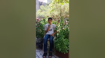 ارح سمعك وقلبك🎧💙//تلاوة هادئة سورة الضحى💜/حالات واتس أب دينية✨/