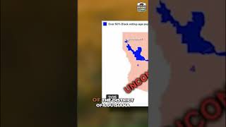 Supreme Court Rules Louisiana District Unconstitutional #shorts