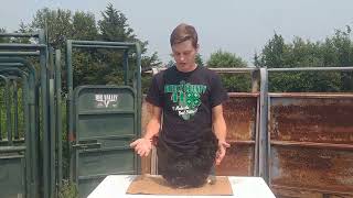 Poultry Showmanship Basics for 4H members