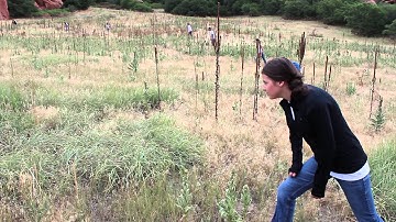 The Hunger Games Clip: The Countdown