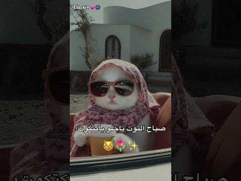 صباح الأناناس لأحلى ناس ترند اكسبلور اشتركو الشعب الصيني ماله حل مالي خلق احط هاشتاقات