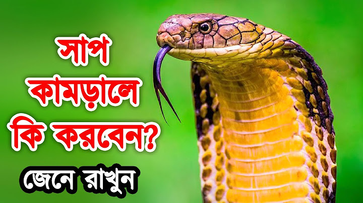 সাপ কামড়ালে কি করবেন জেনে রাখুন | রাসেলস ভাইপার কামড়ালে করণীয় কি |  Snake Bite Treatment #snake