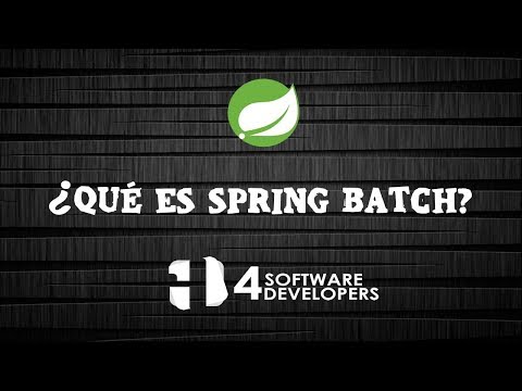 Video: ¿Qué son los parámetros de trabajo en Spring Batch?