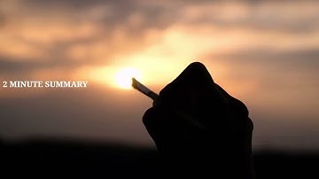 DON QUIXOTE|BOOK SUMMARY IN 2 MINUTES|
