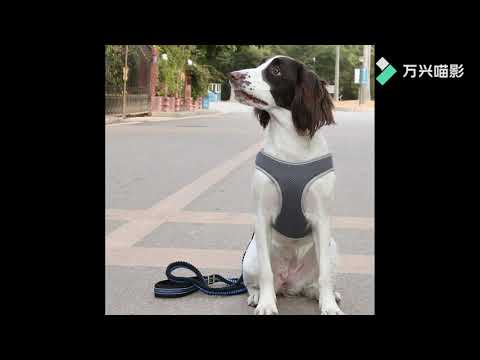 Light Weight Pet Harness Vest for Small and Medium Dogs