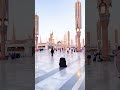 نبينا أغلى أمنياتي أزورك لو مرة بحياتي 