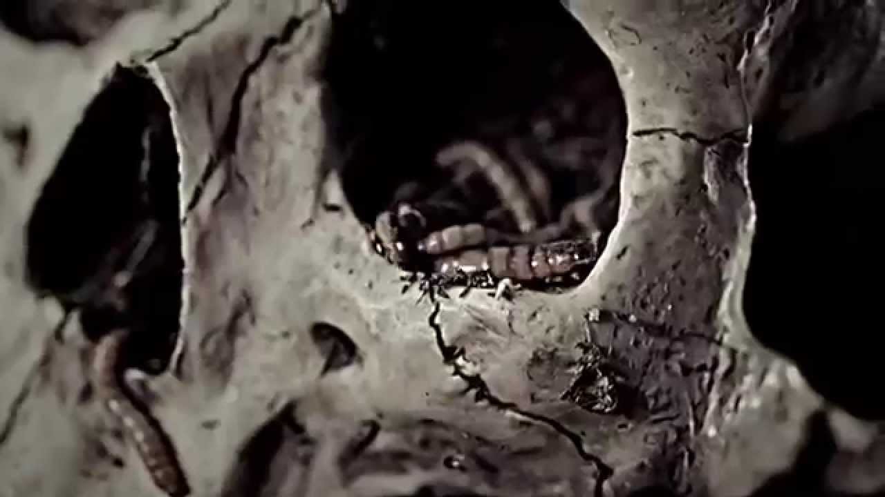 Four B - ZERO (BigBang, TVXQ, VIXX)