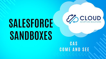 Salesforce Sandboxes: CAS Come and See Video