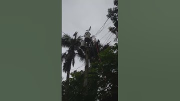 Transformer fuse connection #electric #transformer #fuse #connection #viralvideo #shorts