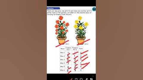 2nd Std | Maths | Information Processing