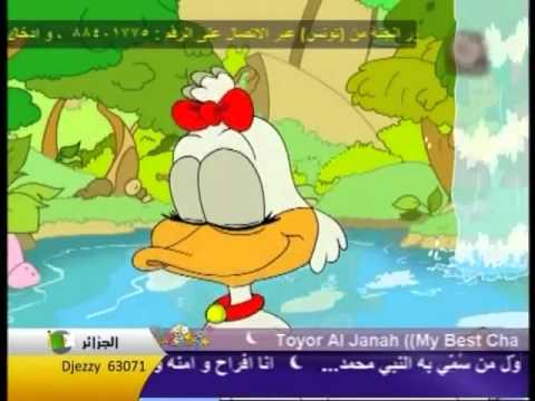 بطه بطه طيور الجنة