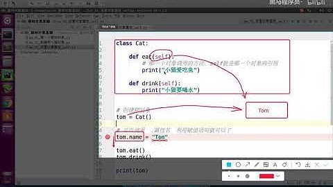 Python从入门到精通  370 010 self 02 利用self在类封装的方法中输出对象属性