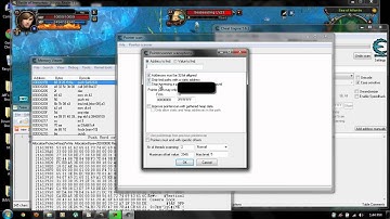 Target Pointer Offset (Battle of the Immortals)