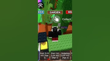 ill delete sugar apple for 200 likes or 50K views