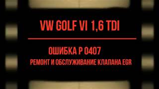 Проблема с EGR  VW Golf6  1 6 TDI