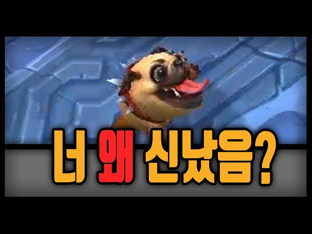 코그몽