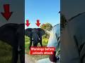 4 Animal Warnings Before They Attack You
